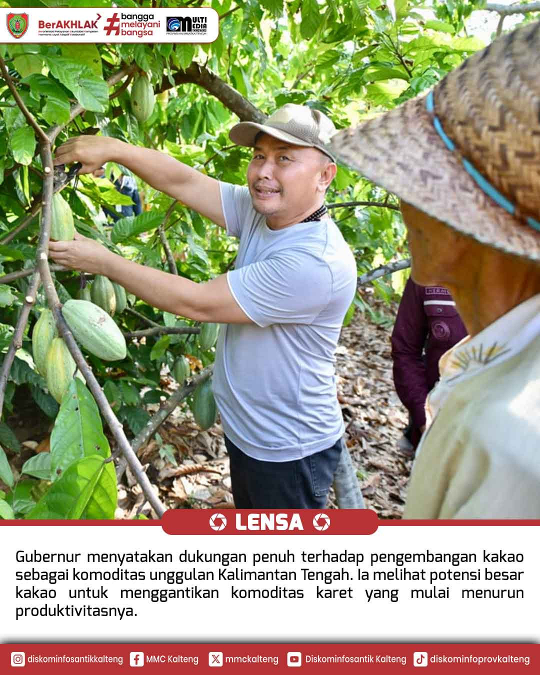 Gubernur Kalteng - Dukung Penuh Terhadap Pengembangan Kakao Sebagai Kmoditas Unggulan di Kalteng.